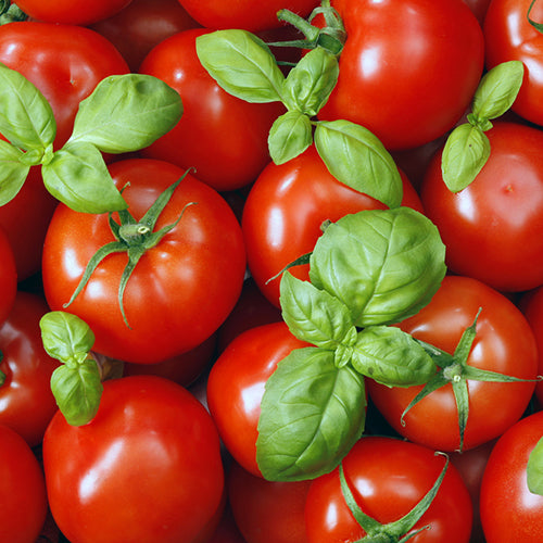 Tomato Basil Fettuccine